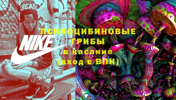 дурь Алзамай