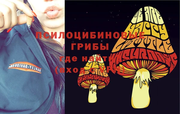 шишки Алексеевка
