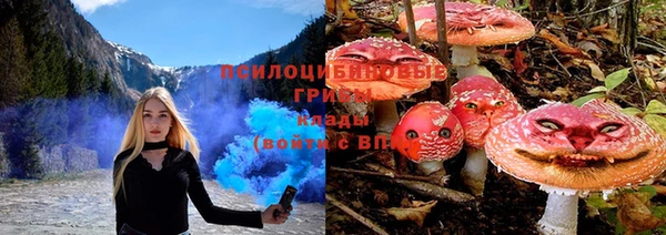 дурь Алзамай