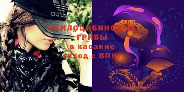 не бодяженный Алексин
