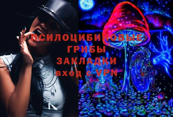 дурь Алзамай